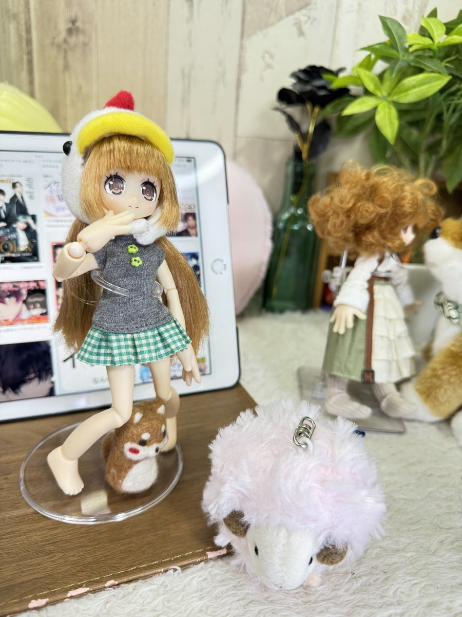 くまきち (@bearbeartyan) / Posts / X