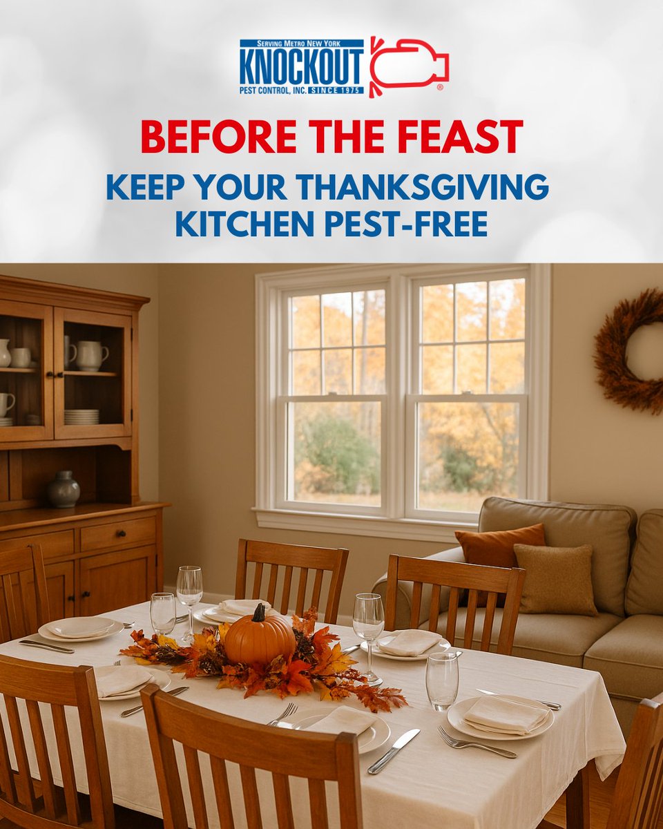 KnockoutPestNY's tweet photo. #Thanksgiving cooking brings warmth, tradition, and… the perfect conditions for pests.

Read our latest blog to learn how to keep unwanted guests off the menu: https://t.co/yubVbbwi54

#knockoutpestcontrol #pestcontrol #pestcontrolservice #exterminator #homeservices #longisland https://t.co/FgajnVjT8S