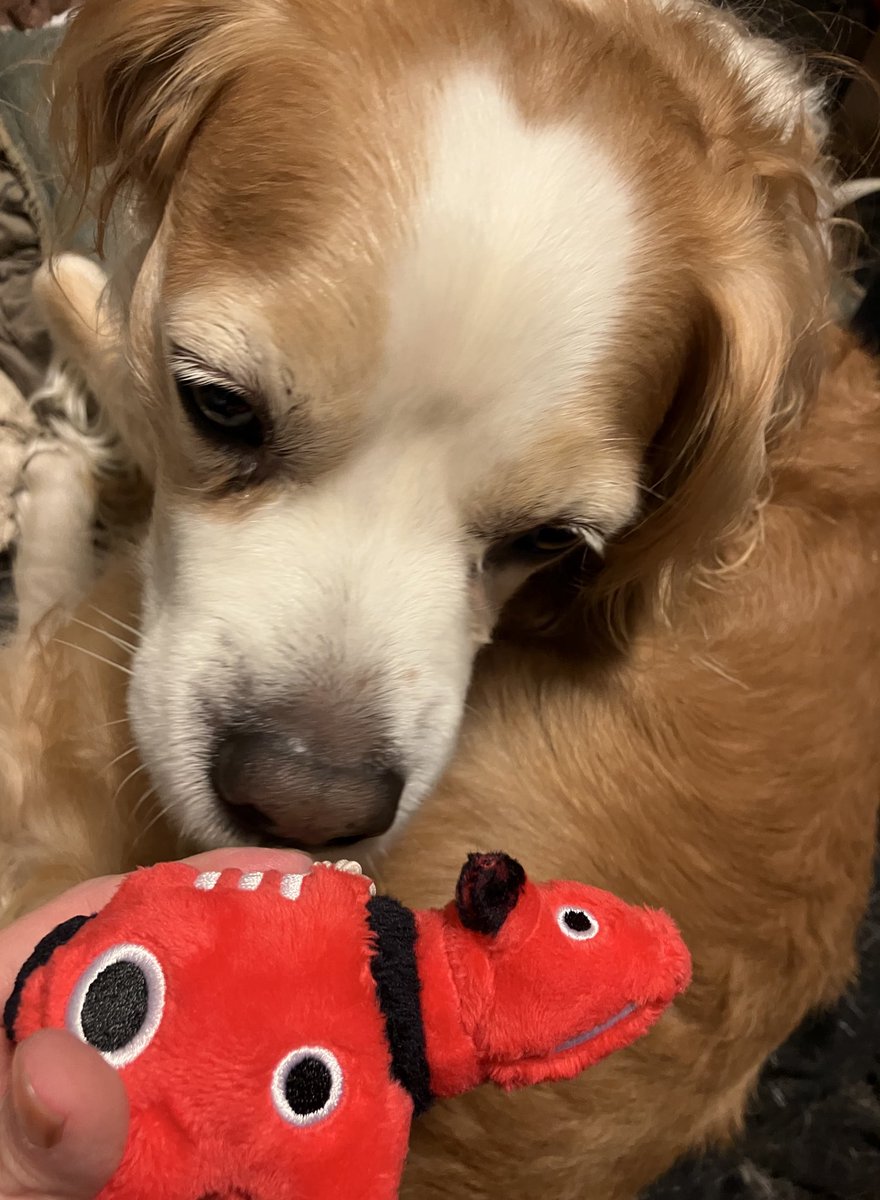 憂(ゆう) 🍆 (@_u_tsu) / Posts / X