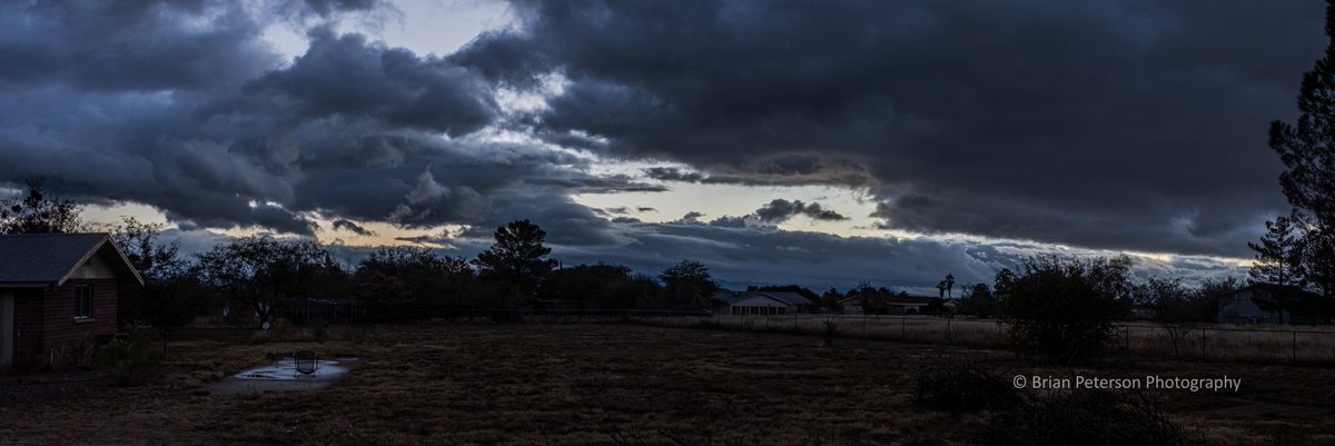 Dr_Brian_Pet's tweet image. Good Morning!