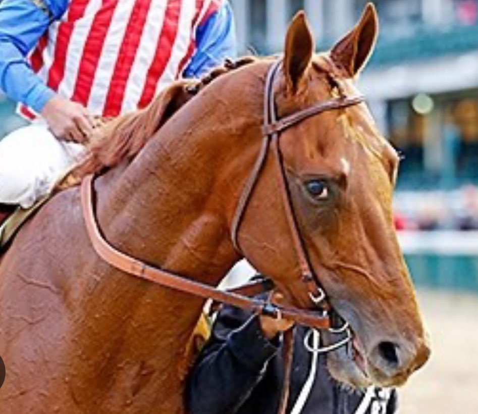 I think Dortmund’s a close 2nd 🐴