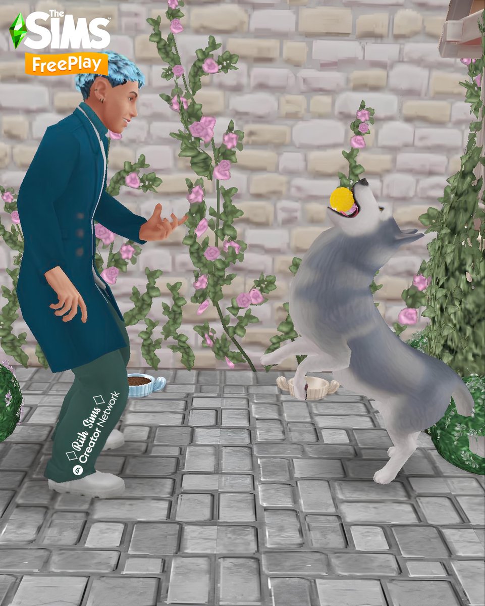 Rih_Sims's tweet image. 🇧🇷Husky que vem como prêmio da
“ILHA DA INFLUÊNCIA – DIAS DE CÃO NO INVERNO” 🥶❄️

🇺🇸A Husky you can win as a prize in
“INFLUENCE ISLAND – DOG DAYS OF WINTER” 🥶❄️