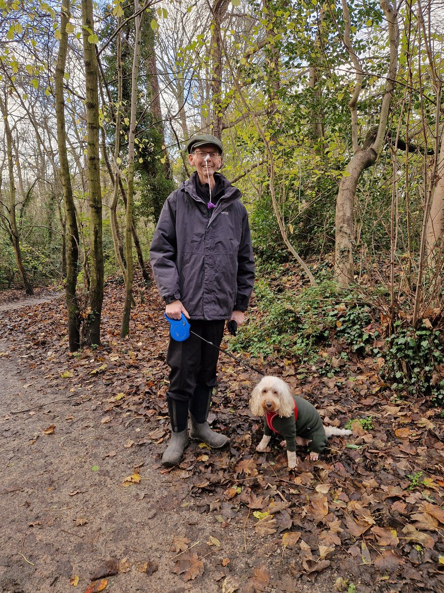 John_Dabell's tweet image. Off to feed the ducks and geese peas, kibbled maize, red dari, and wheat. Strictly no bread! I&apos;ve got a 2 hour feed through my nose when I get back.