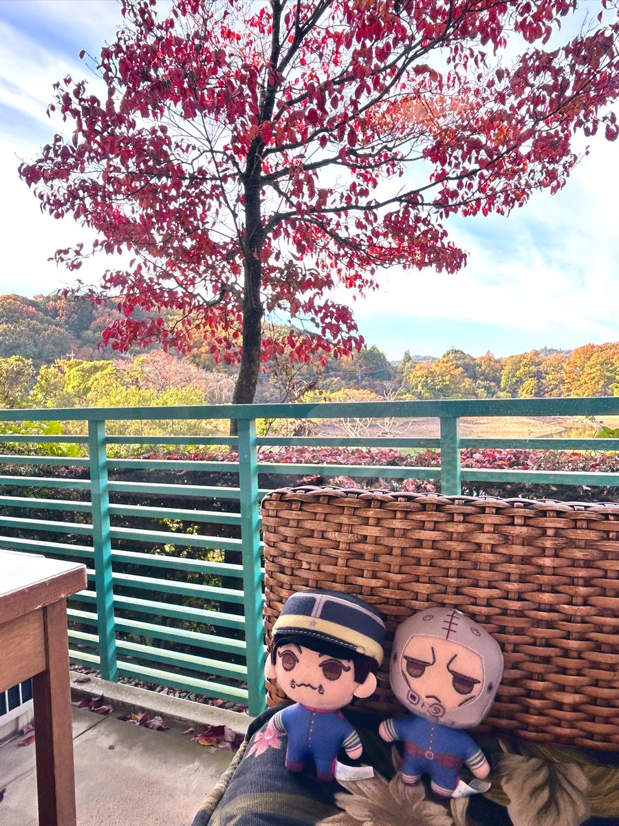 asagi_gm's tweet photo. 昨夜はお楽しみでしたね🐰👂 https://t.co/ywzZpCiPfx