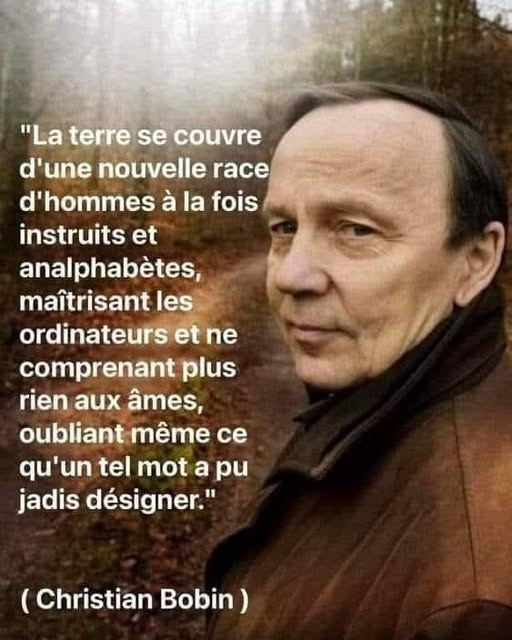 Kateri Seraphina (@kateriseraphina) on Twitter photo 