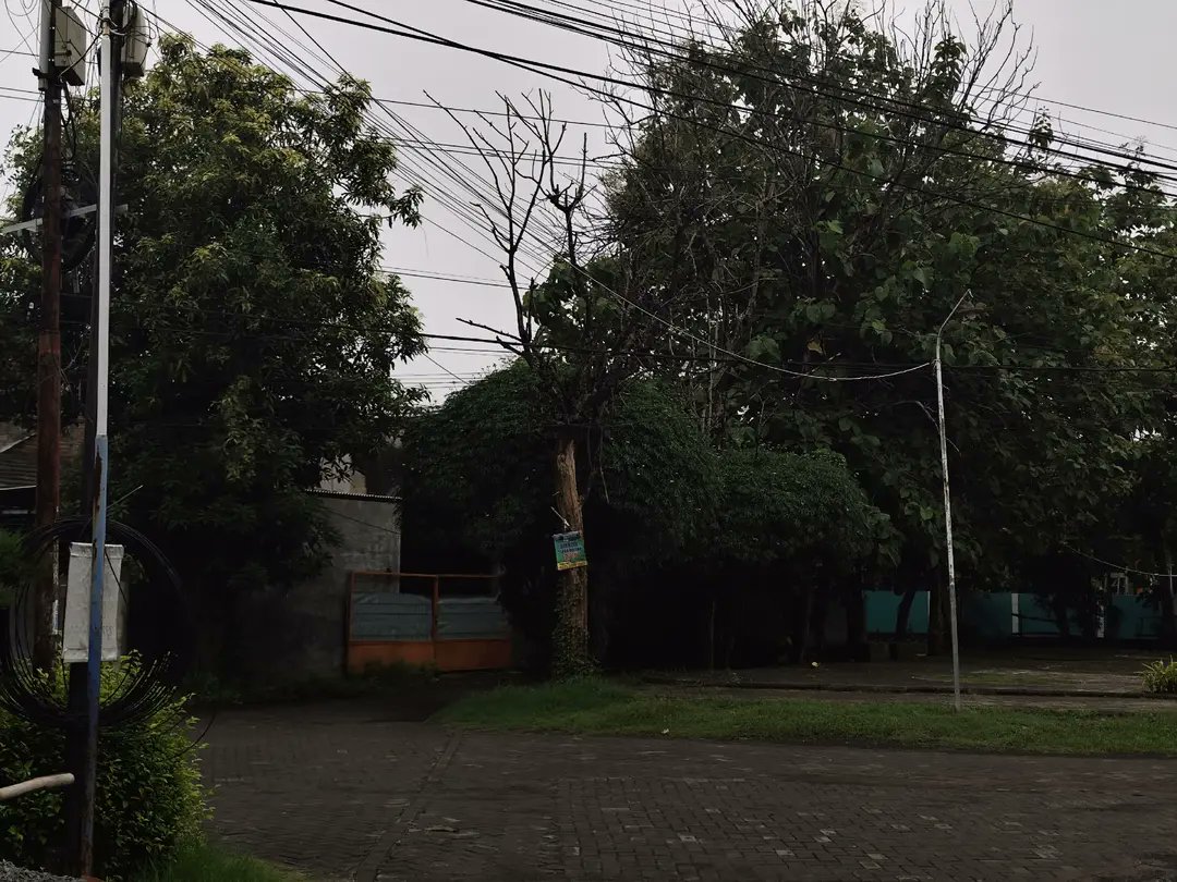 reoocha's tweet image. today i walked to find my missing cat❤️‍🩹