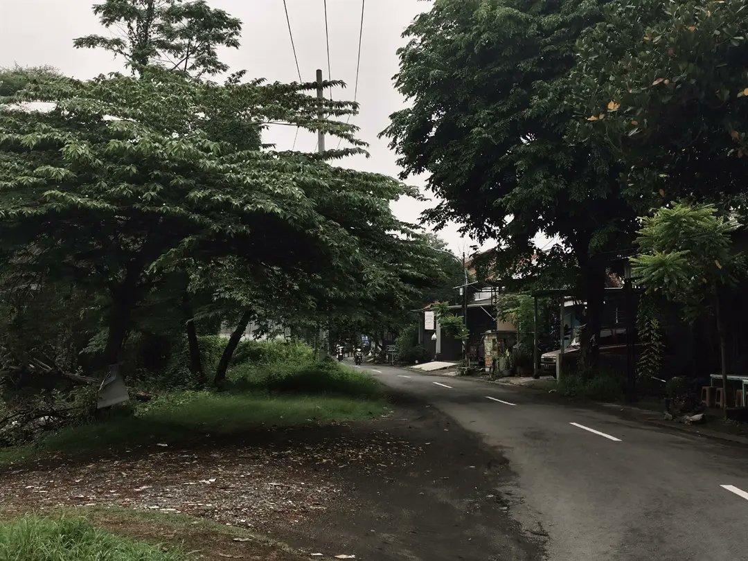 reoocha's tweet image. today i walked to find my missing cat❤️‍🩹