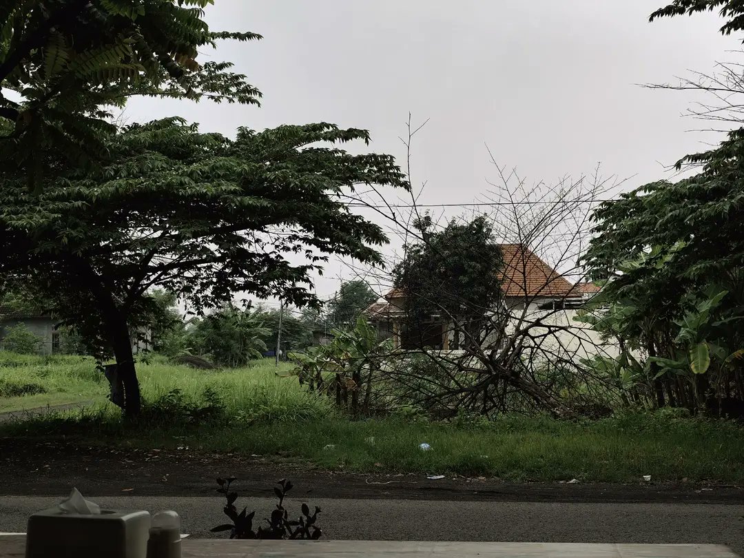 reoocha's tweet image. today i walked to find my missing cat❤️‍🩹