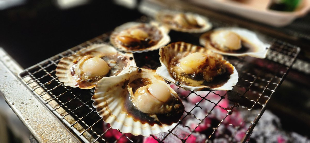 🐯𝕋𝕀𝔾𝔼ℝ兄貴🐯 tweet media