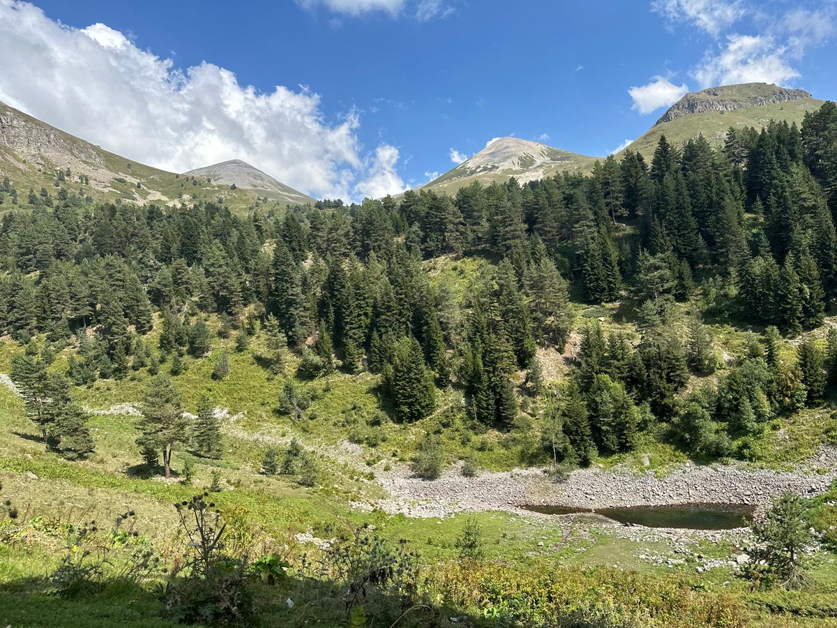 Selâm ve Duâ ile hayırlı akşamlar 10 yıllık hesap hayalet bişeyler paylaşayım dimi renklensin 🍂