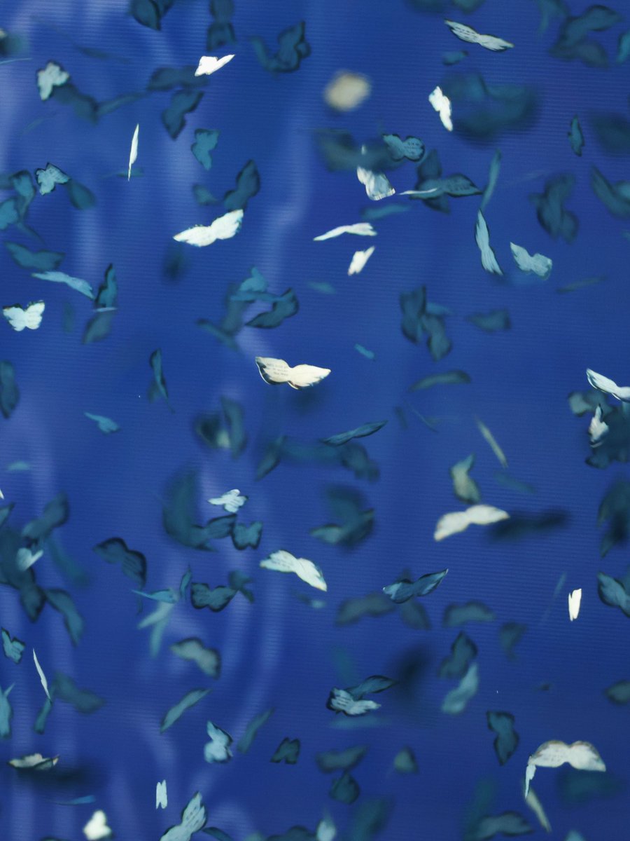 pearlove626's tweet image. 🥲🥲🥲🥲🥲🦋🫧

#XdinaryHeroes #엑스디너리히어로즈