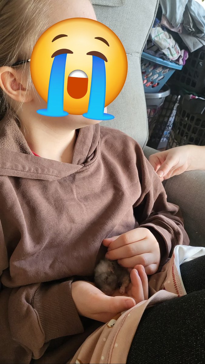 MariaGilsgaard's tweet image. Musiques hamster Blue died in her hands yesterday.
2 years and 11 months old😢 i'm gonna miss the that little ball of fluff 😭