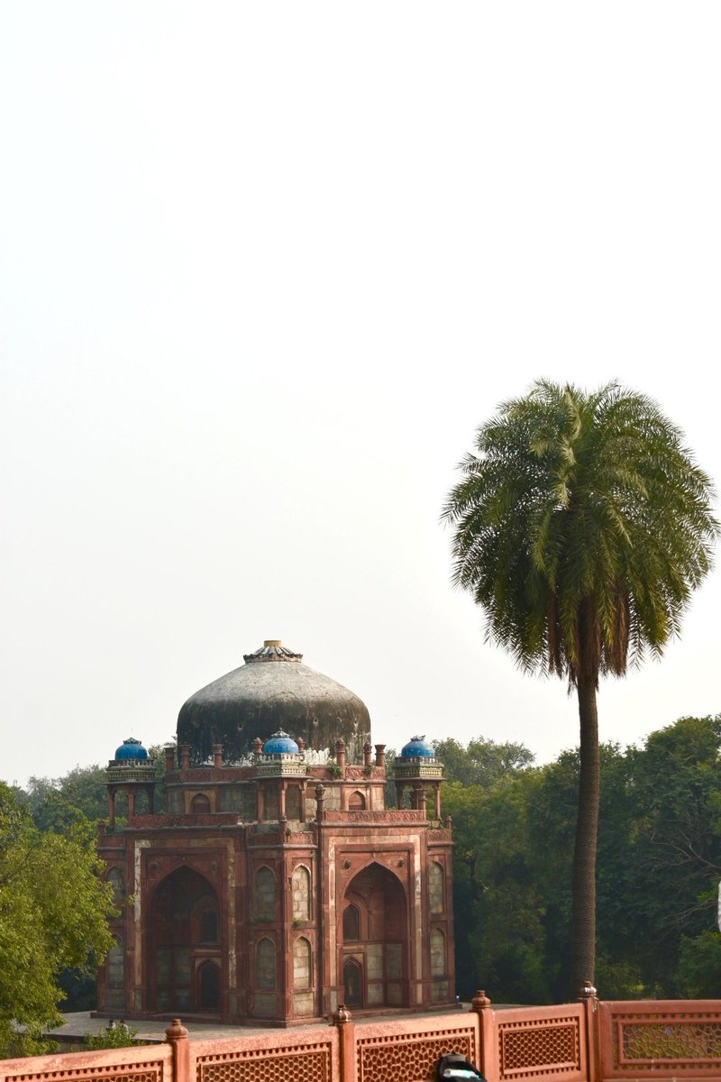 paul_iraa's tweet image. Phone wallpapers anyone?