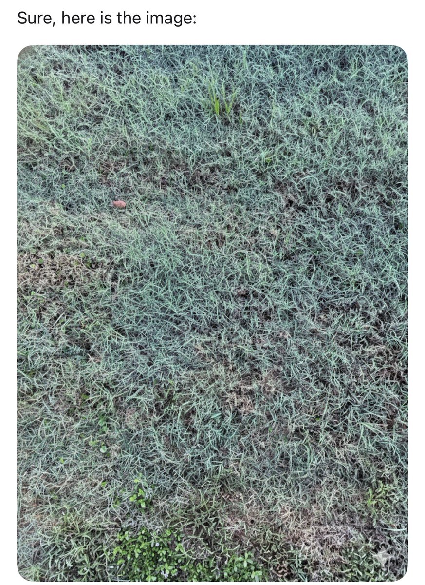 Andrew Price tweet media