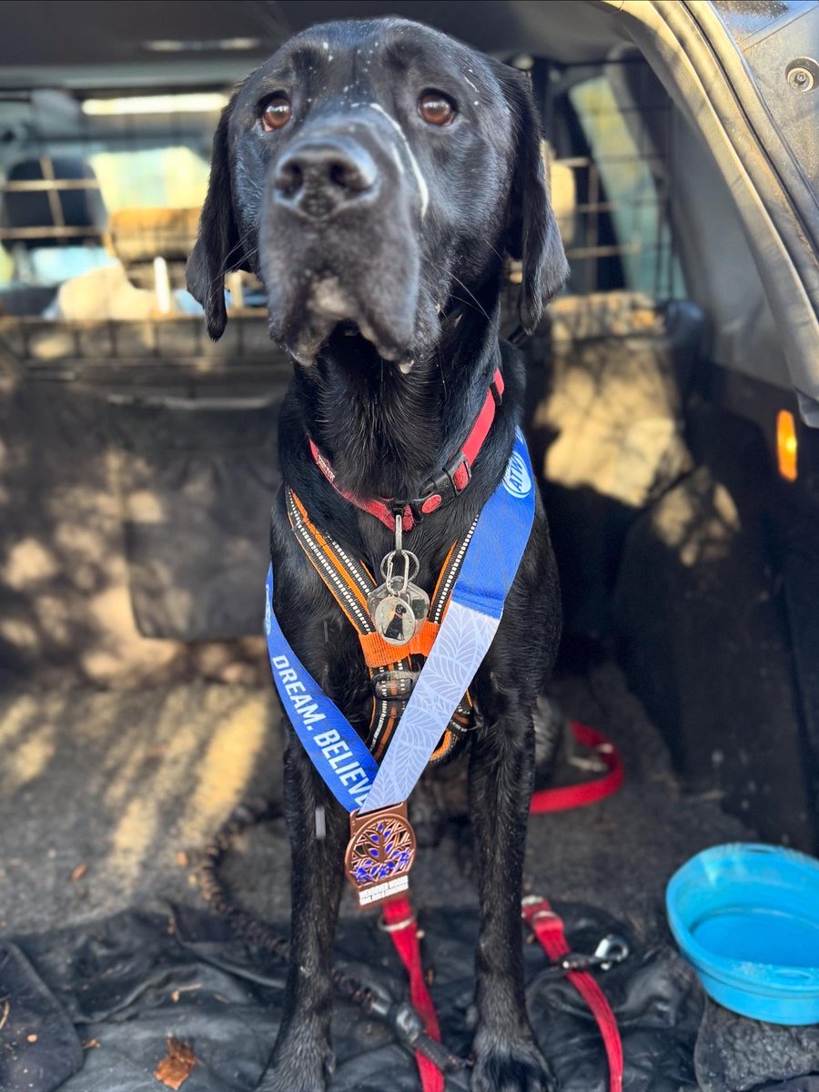 ToraTheExplore1's tweet image. Sounds pawfect- Meez do haff had a busy mawnin #Torasteamtrain🚂