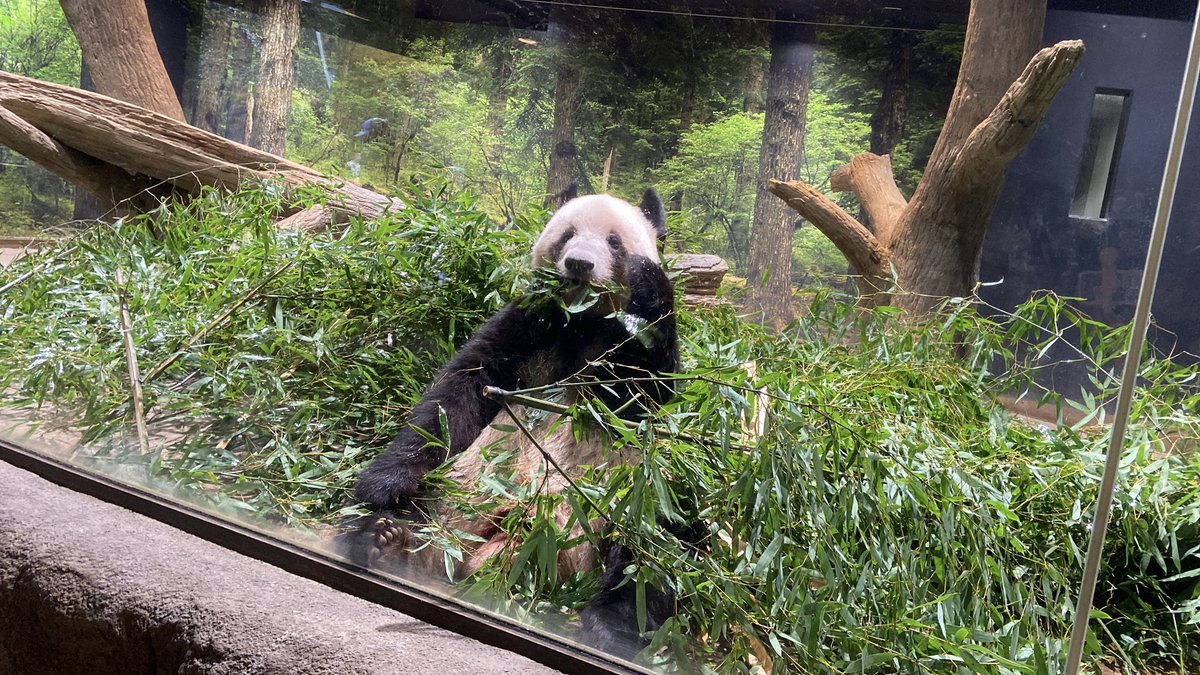 な あ や ん か も ね 。 tweet media