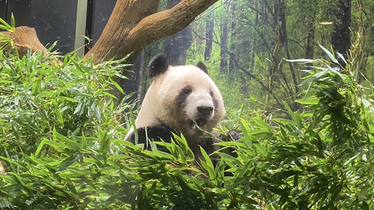 な あ や ん か も ね 。 tweet media