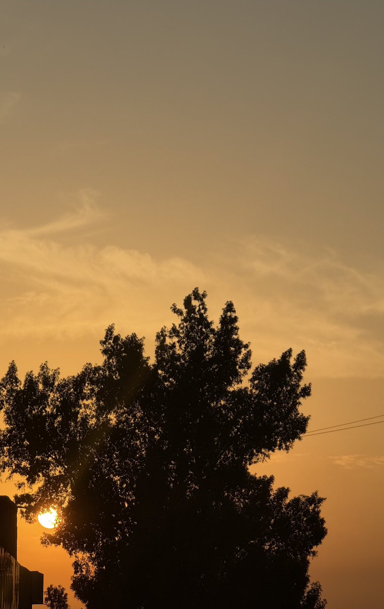 ® (@orangunm) on Twitter photo 