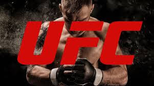 &lt;fightid&gt;
격투기 MMA 팬덤과 Web3 결합한 스포츠 기반 소셜 플랫폼
각종 협업을 통해 팬들은 NFT, 디지털 콜렉션, 참여 보상등 다양한 온체인 경험 가능 

&lt;fight.id의 최고의 파트너 UFC&gt;
UFC와 Fight.ID는 정체성, 충성도, 그리고 주인의식을 기반으로 구축된 웹 3.0