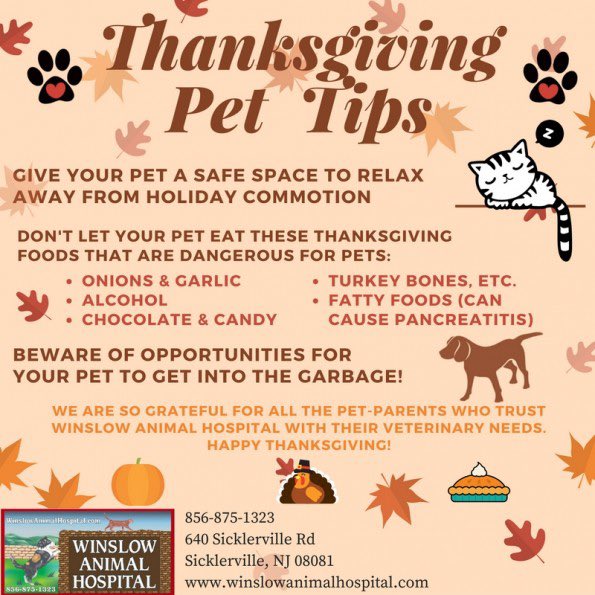 K9BackPack's tweet image. Thanksgiving in the USA is this week, so it’s time to start thinking about how to keep our pets safe during the holiday.  Here are some good tips. 🐾❤️🐾