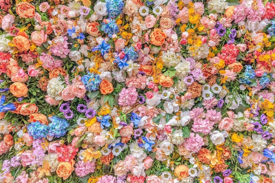 LKpaddy's tweet image. Ben Thomas •
Flowers in Milan, 2019