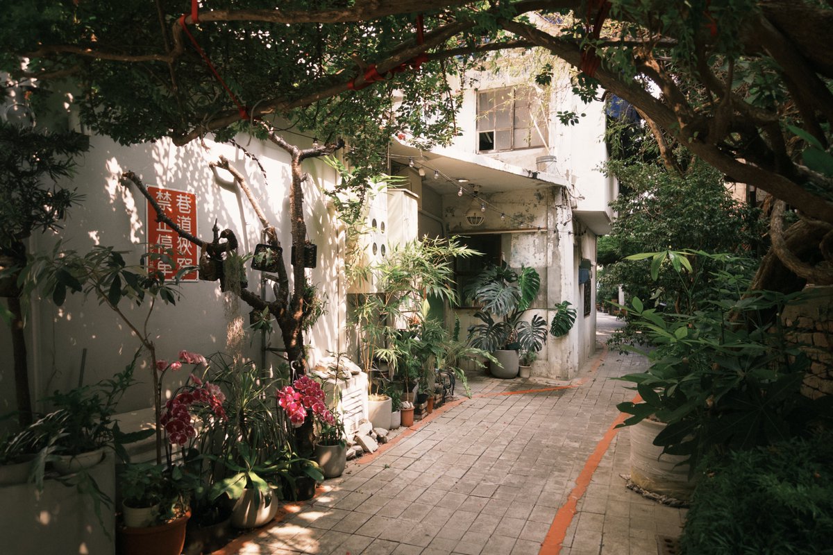 aokodaaa's tweet image. Same place, different time