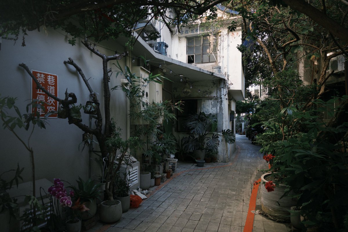 aokodaaa's tweet image. Same place, different time