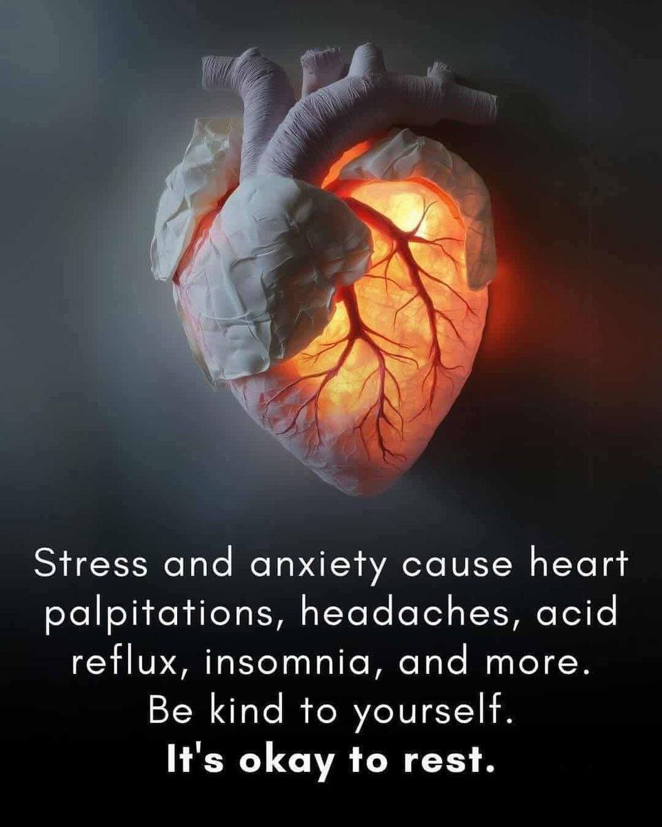 Happy Sunday 💖🐕