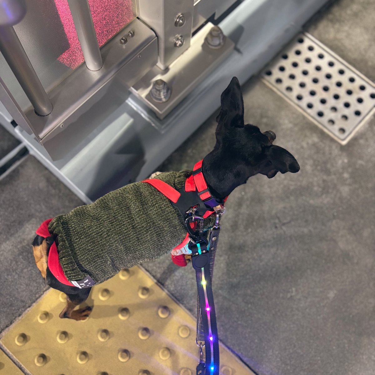 薔薇子™ (@vallaco) / Posts / X