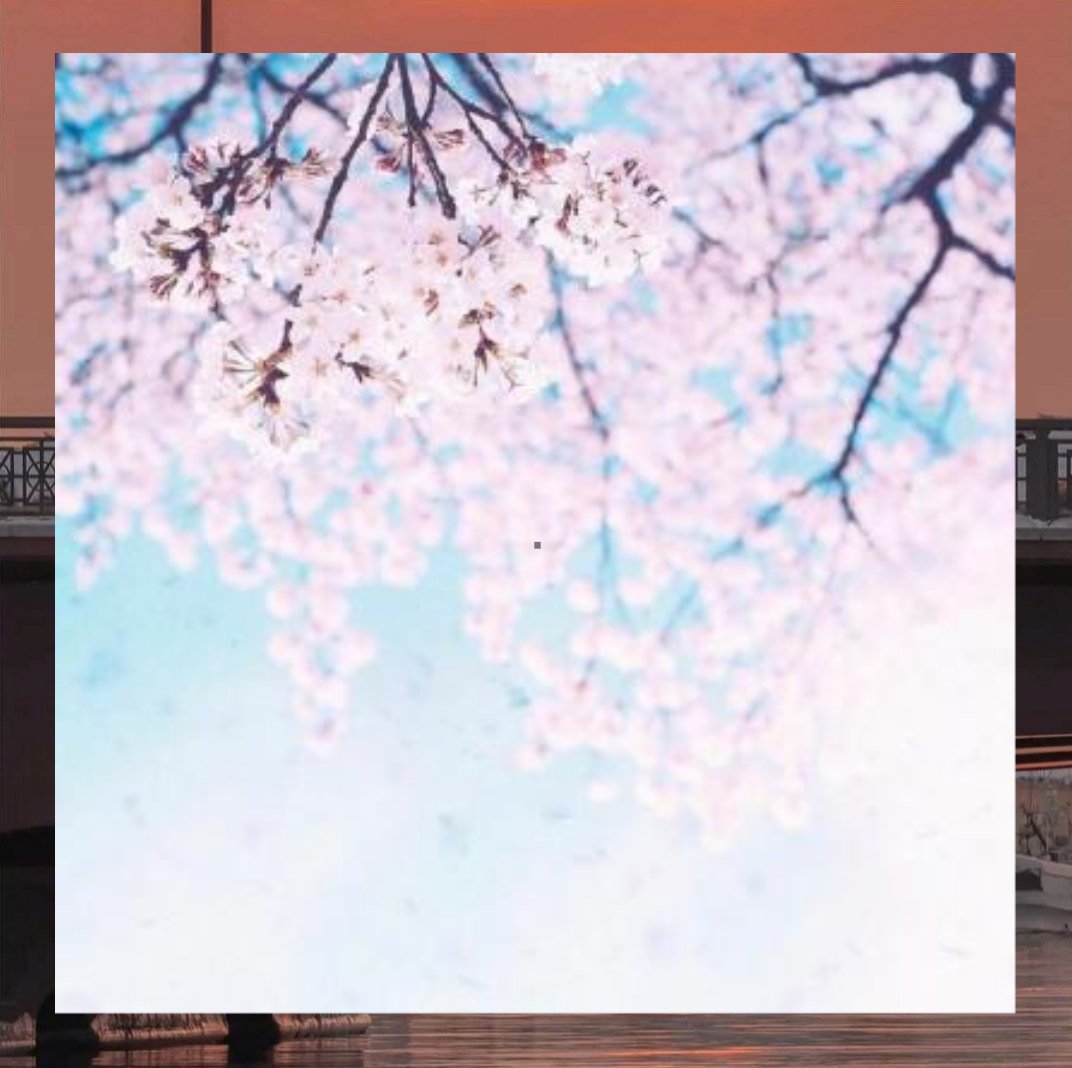 From public can all apply story detail movement land.624675