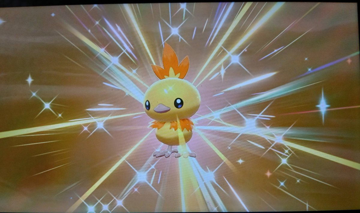 🌟696/1025🌟: Galifeu shiny
➡️ Évolution de Poussifeu shiny trouvée en 63 œufs 😉