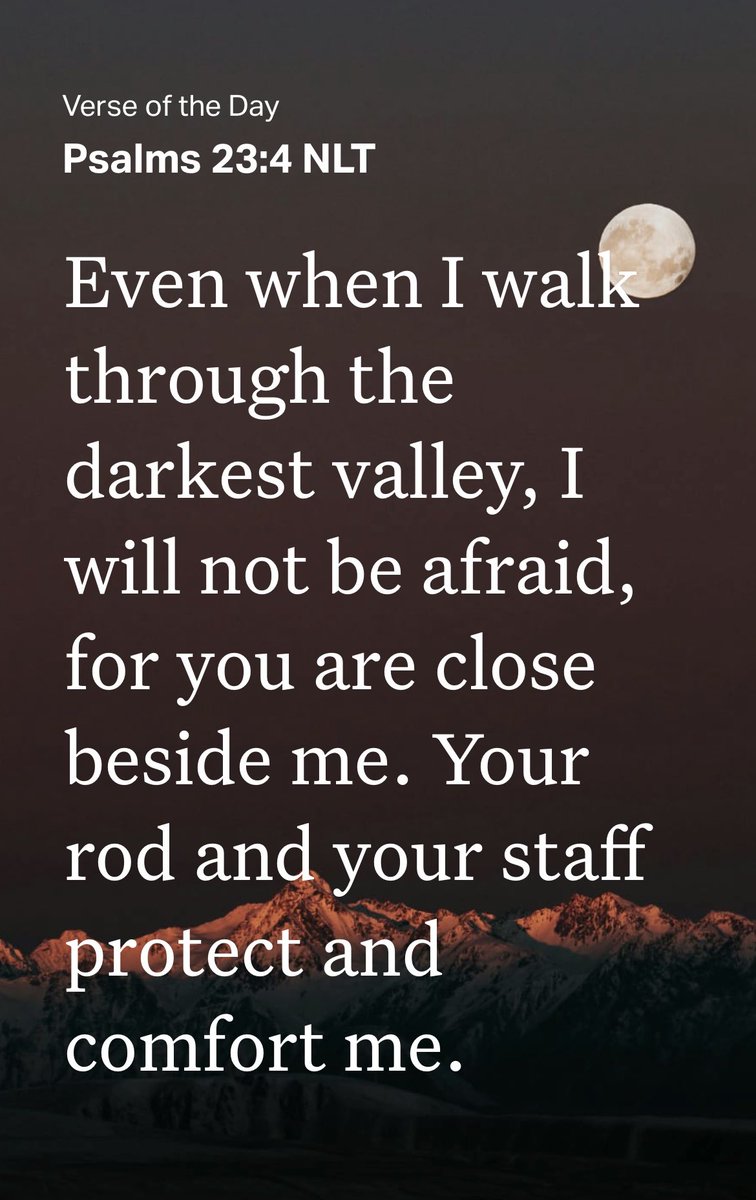 𝐷ᥑᎱîȠ ⲏ܂ ＳᵖǝȠ∁ǝ (@hoopcoachspence) on Twitter photo 