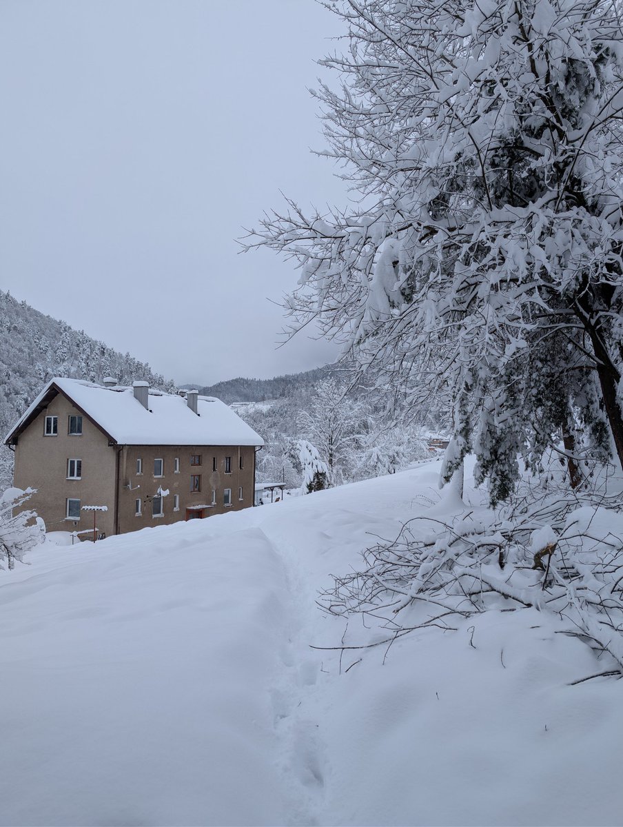SlovakBrony's tweet photo. @earthcurated https://t.co/JauiwCO3j0