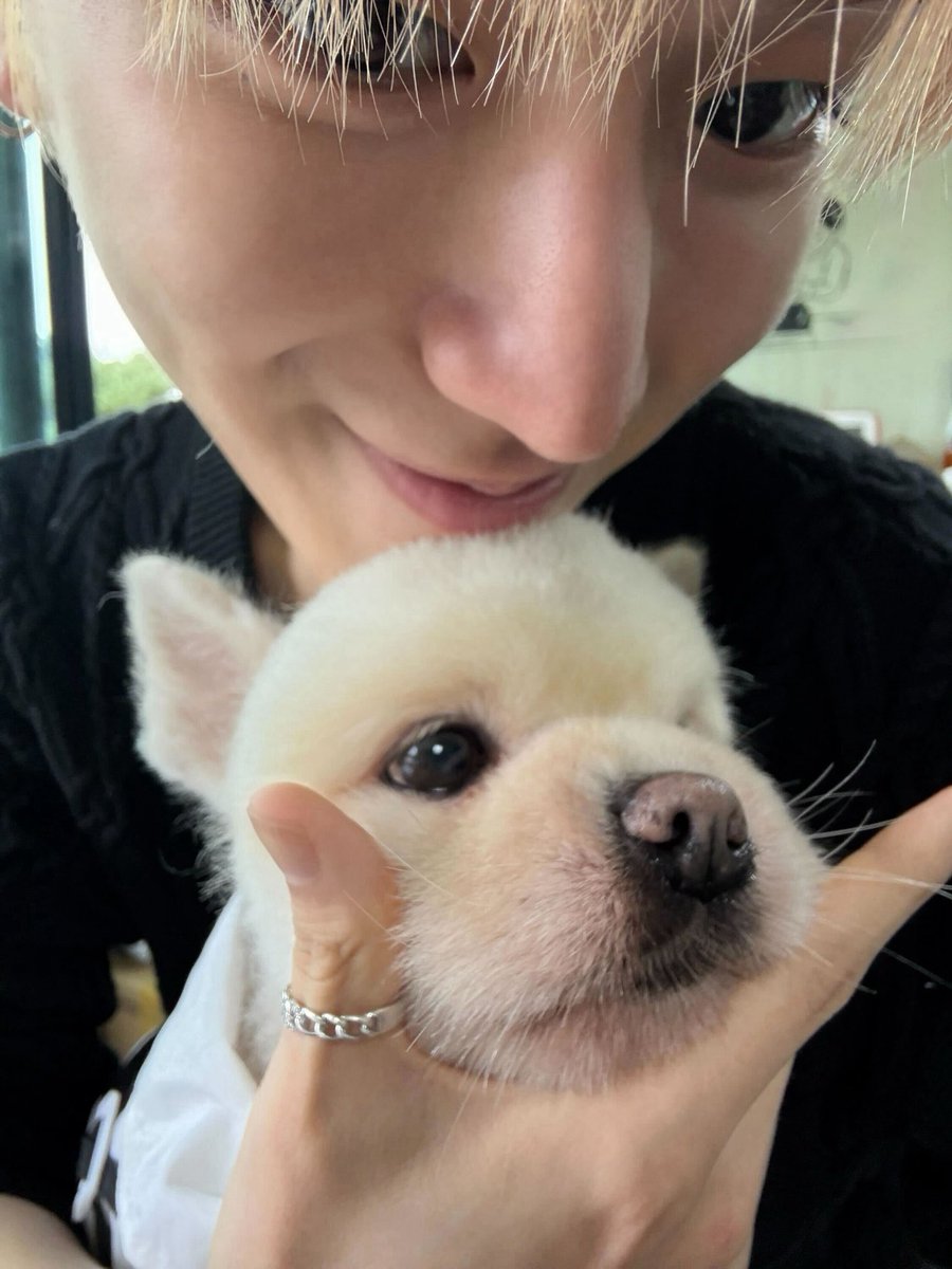 bb0bbiii_'s tweet photo. 마음이 넘 따닷해진다.. https://t.co/EC7rkCCuoq