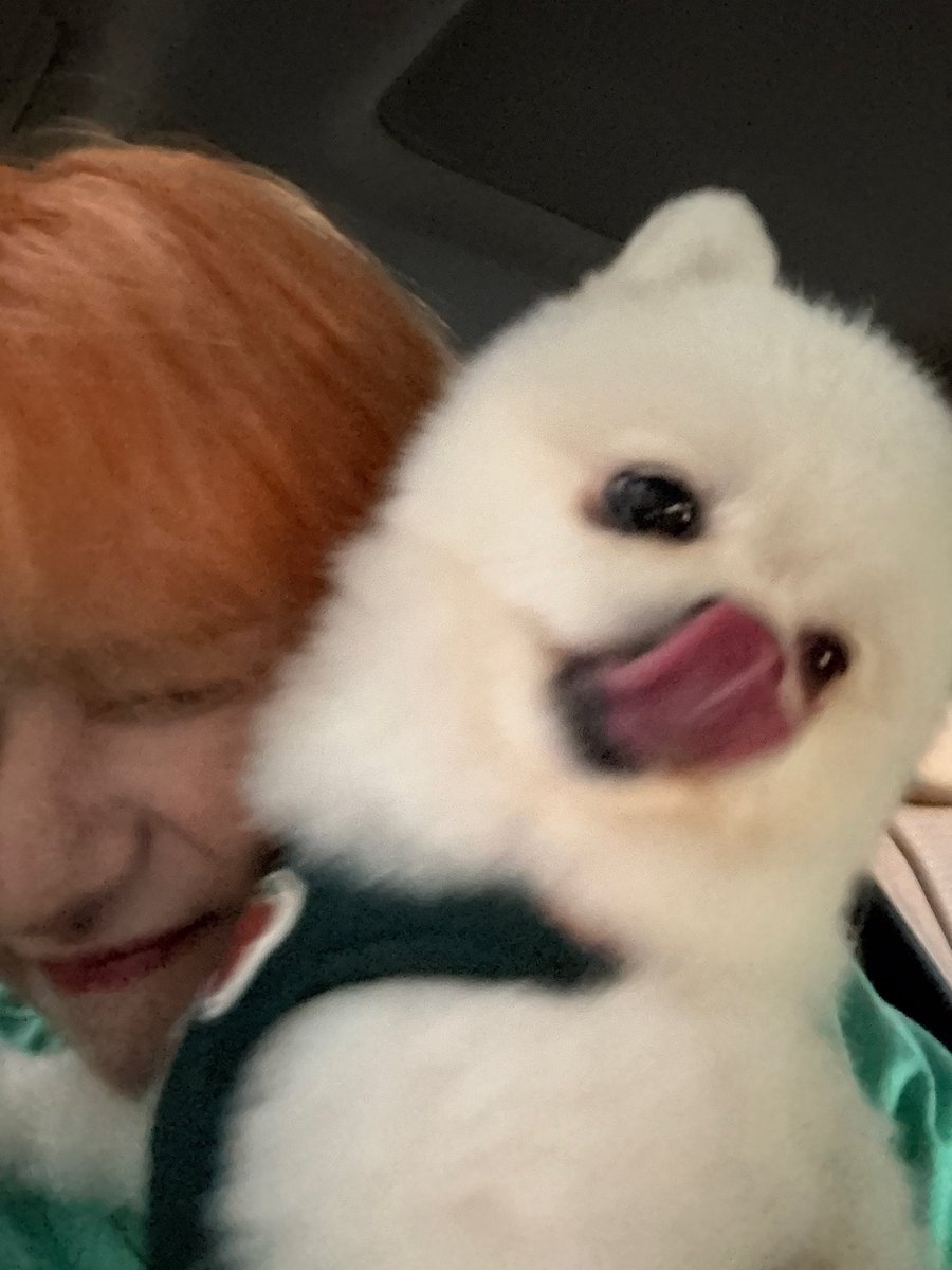 bb0bbiii_'s tweet photo. 마음이 넘 따닷해진다.. https://t.co/EC7rkCCuoq