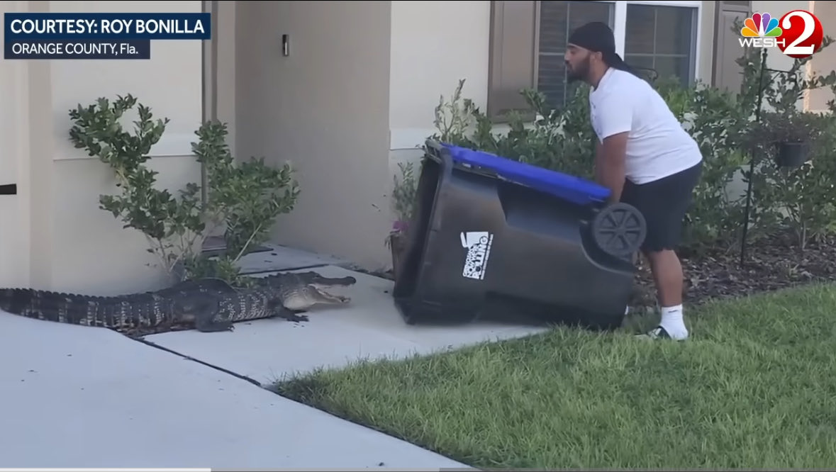 I think about this Florida man all the time.

One of the greatest to do it.