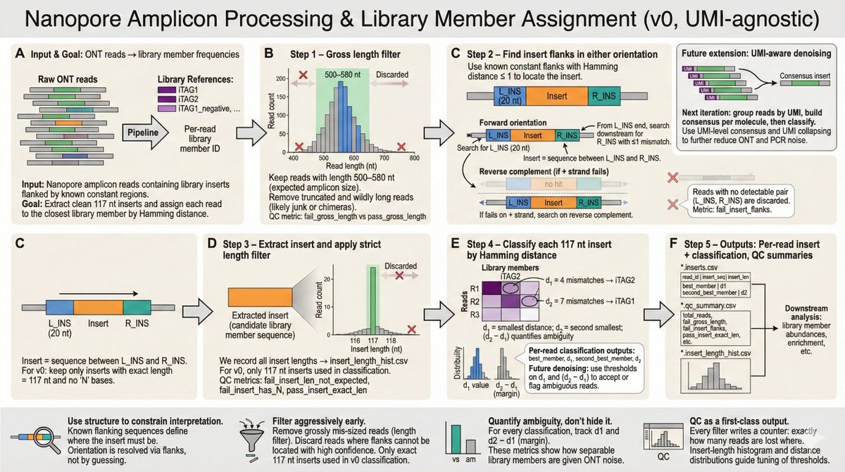 JamieRintoul2's tweet photo. Using nanobanana2 to illustrate my sequencing analysis pipeline- one shot from a simple, detailed description. pretty insane vs SOTA 1 week ago…

Not flashy “AI for science”, but less time tediously making slides means more time thinking/doing https://t.co/NBYLEsDn0E