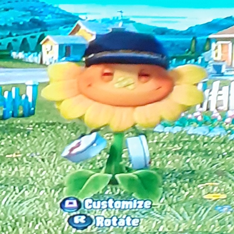 Do you like my sunflower