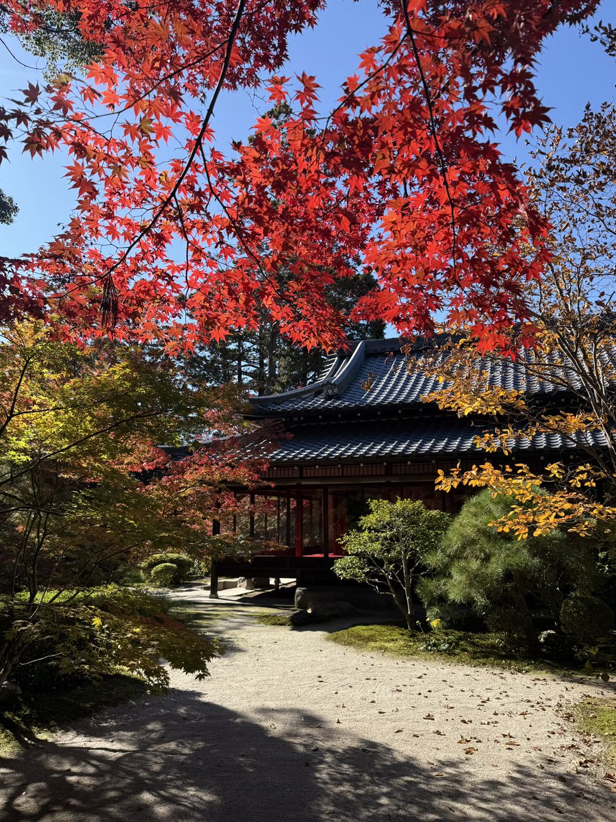 _kn164's tweet photo. 京都の紅葉🍁 https://t.co/kMBuqXS5FN