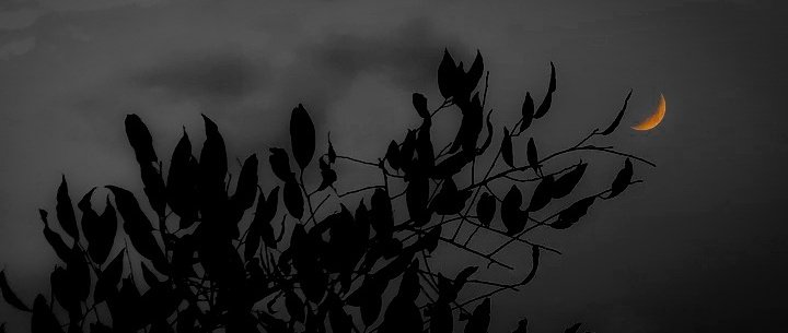 jessaricc's tweet image. “And all I loved,I loved alone."
     — Edgar Allan Poe