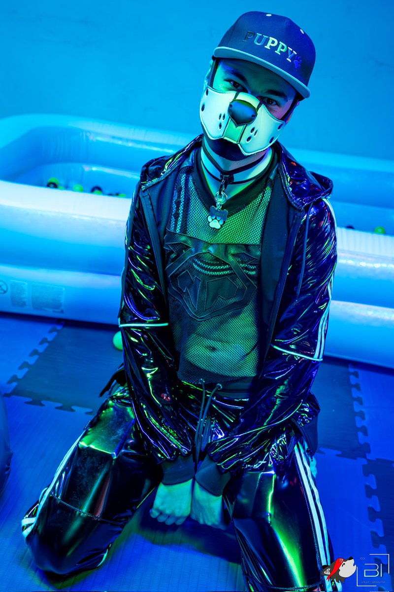 🖤🤍🐾🐶

📸 - <a href="/CoyoteKieran/">Kieran 🔜 Animalz, NFC</a>