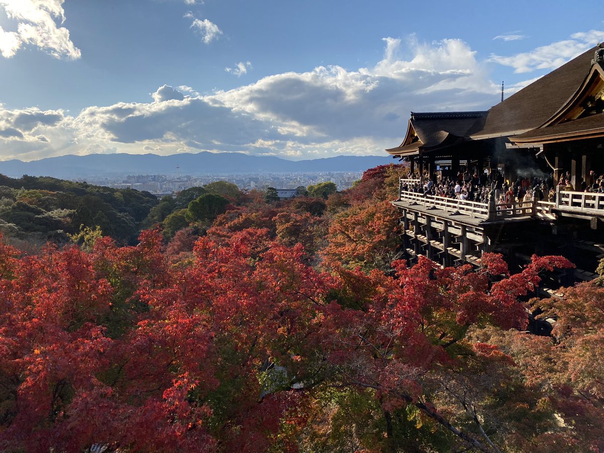 Lito23905990's tweet photo. ２日目にいった場所4
清水寺 2年ぶりかな、とにかく人が1番多かったです
けどやっぱりここの紅葉すごい絵になると思いました https://t.co/Lk9Zm7qRPd