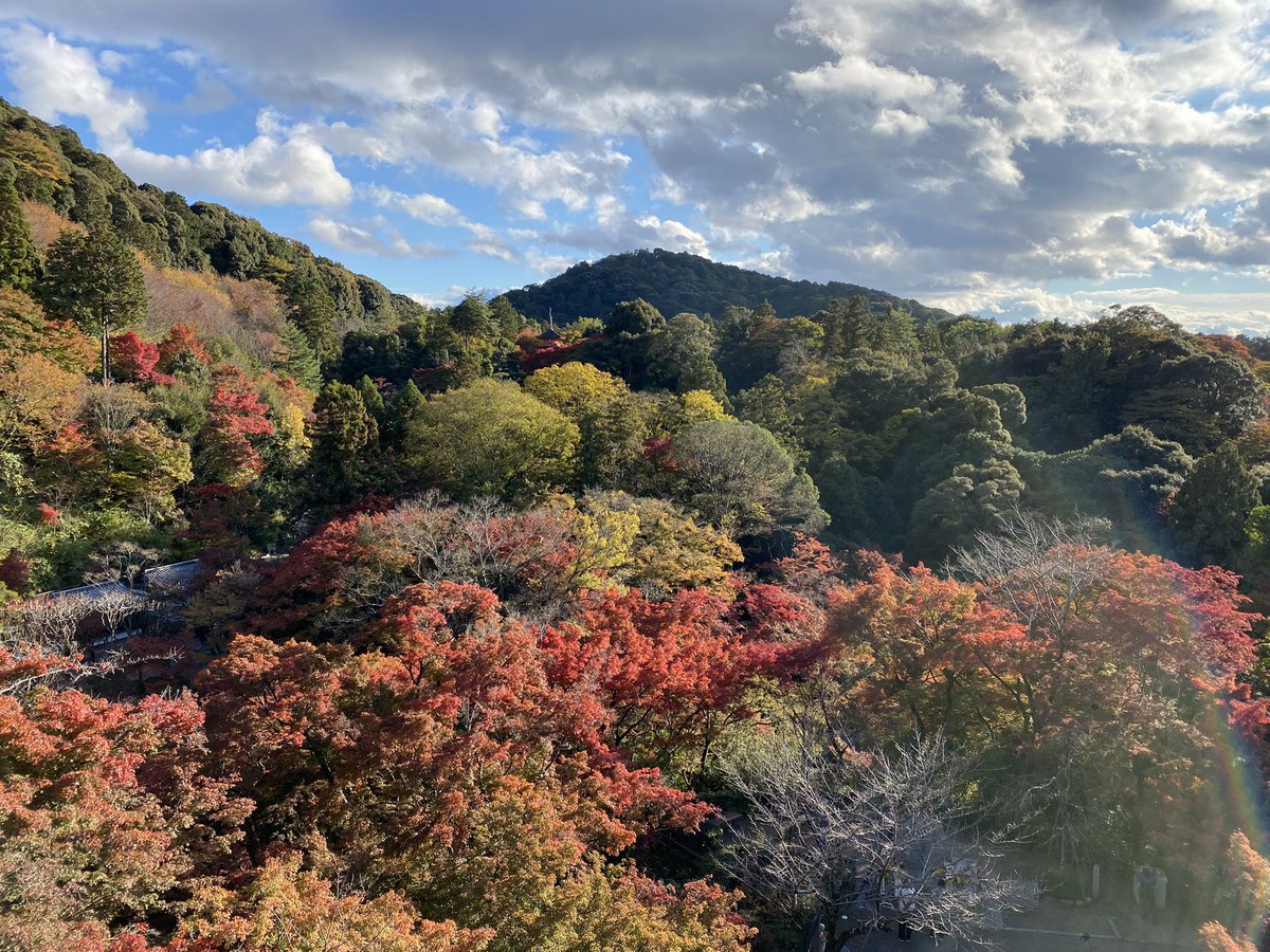 Lito23905990's tweet photo. ２日目にいった場所4
清水寺 2年ぶりかな、とにかく人が1番多かったです
けどやっぱりここの紅葉すごい絵になると思いました https://t.co/Lk9Zm7qRPd