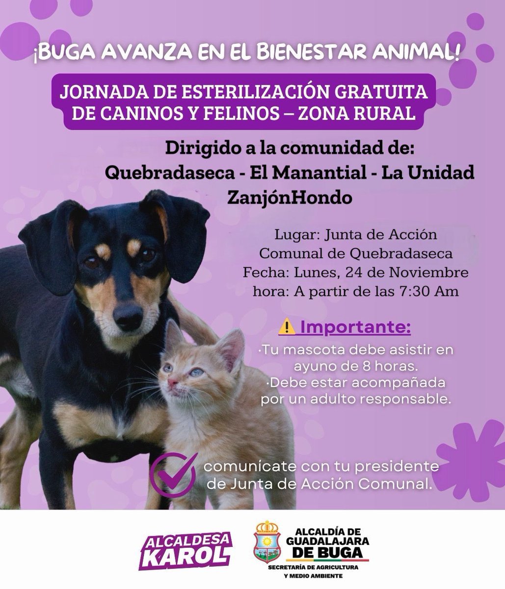 fernandojose66's tweet image. Mañana Lunes 24 de Noviembre/2025 

#Buga