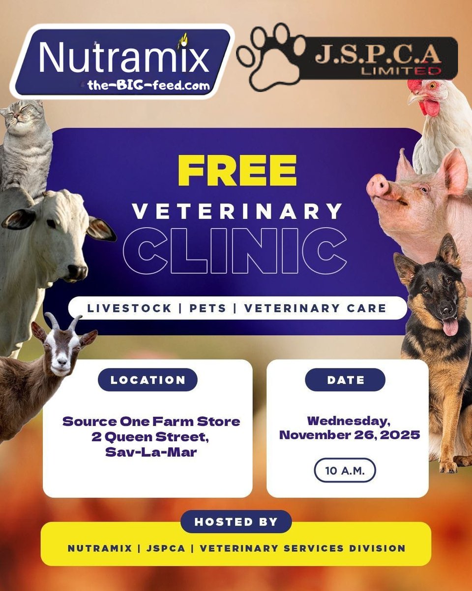 RoostersWorldja's tweet photo. The JSPCA, Nutramix, and the Veterinary Services Division will be hosting a Free Veterinary Clinic to support the health and welfare of livestock and companion animals.

📍 Location: Source One Farm Store, 2 Queen Street, Sav-La-Mar
📅 Date: Wednesday, November 26, 2025
⏰ Time: 10:00 a.m.

This initiative will provide veterinary assessments, guidance, and care for animals within the community at no cost. Owners of pets and livestock are encouraged to attend and make use of these essential services.

Please share this information with individuals who may benefit.

Follow and share your wildlife observations to @RoostersWorldja.