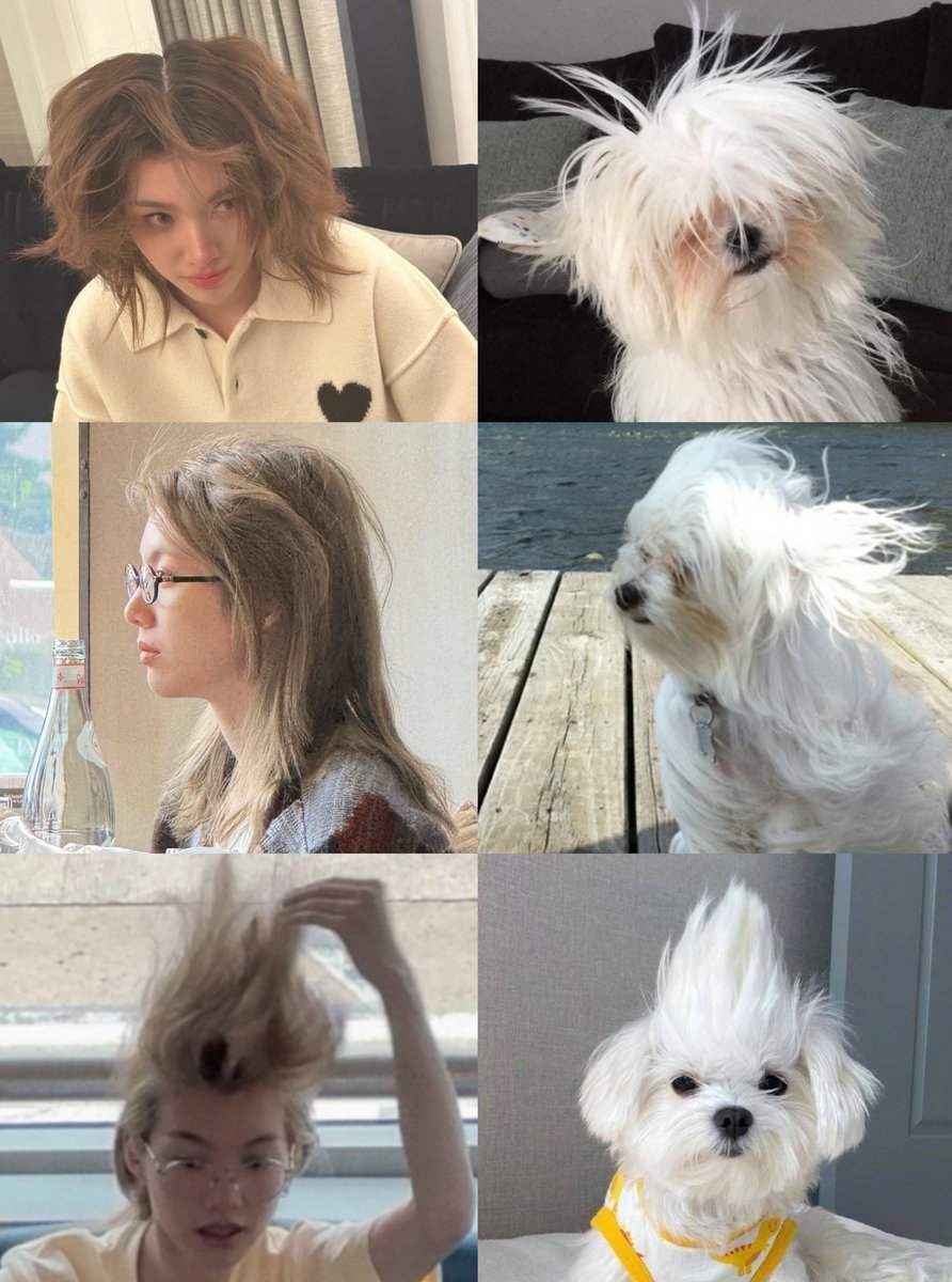 ชั้นเปนไก่เน่าทุกทีเยย เปนเพราะชั้นหัวฟูที่ฉุด 😾🤏

#ออมกรณ์นภัส  #Ormkornnaphat