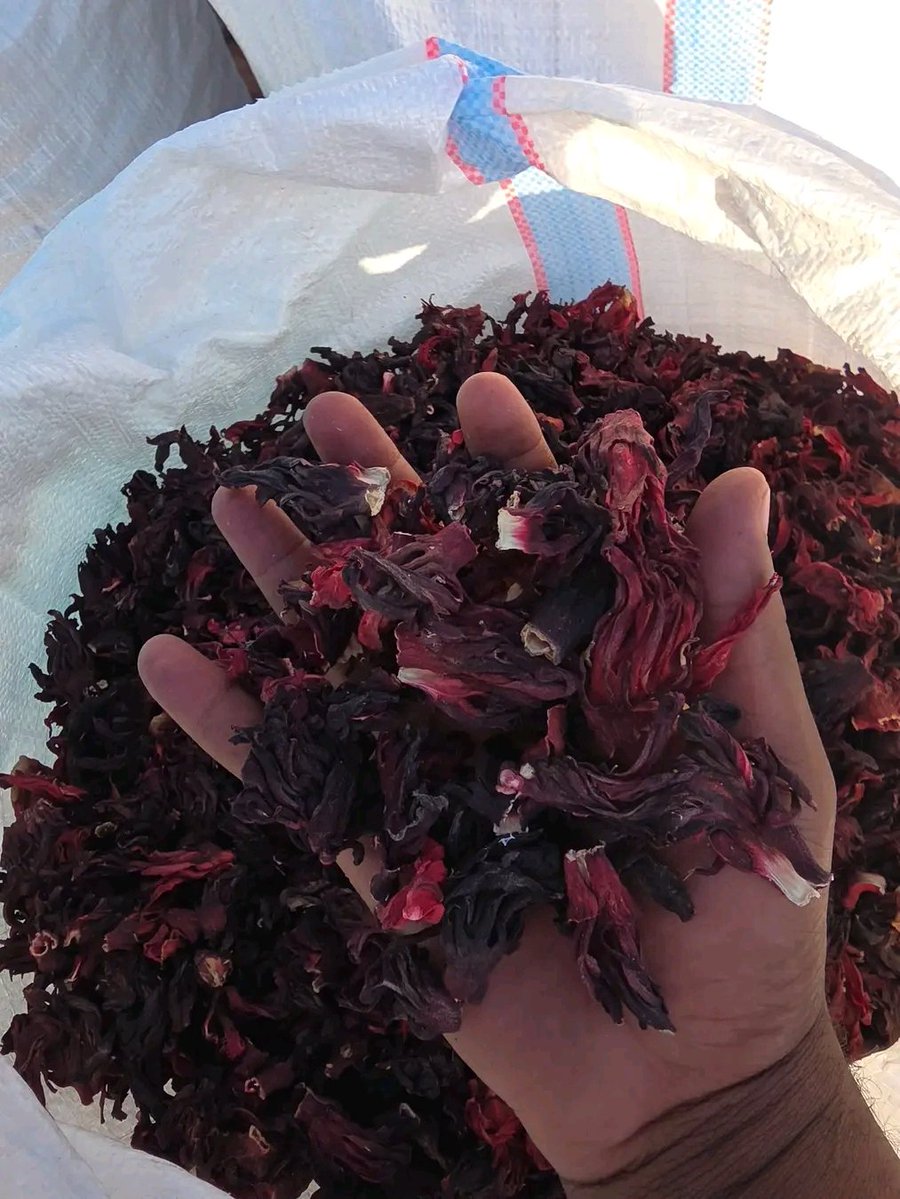 Perfect quality hibiscus flower  rich colour, natural taste, and premium purity for your global market needs.

Free from sand, stones, insects, and odour

Properly sun-dried

Suitable for Mexico, Europe, and Asian markets
