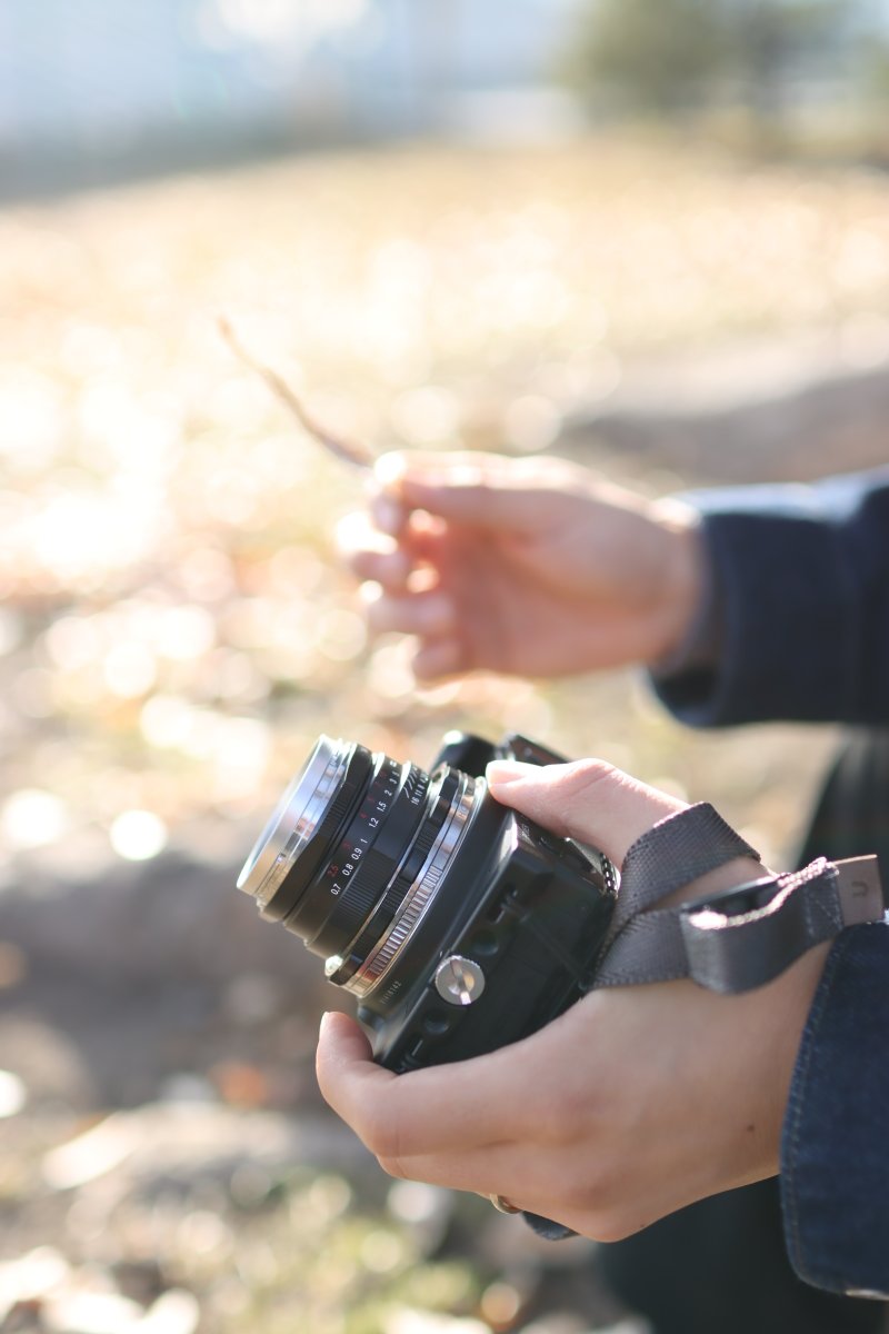 todo849's tweet image. 今日の1枚。

#DD 
#つながりの貌