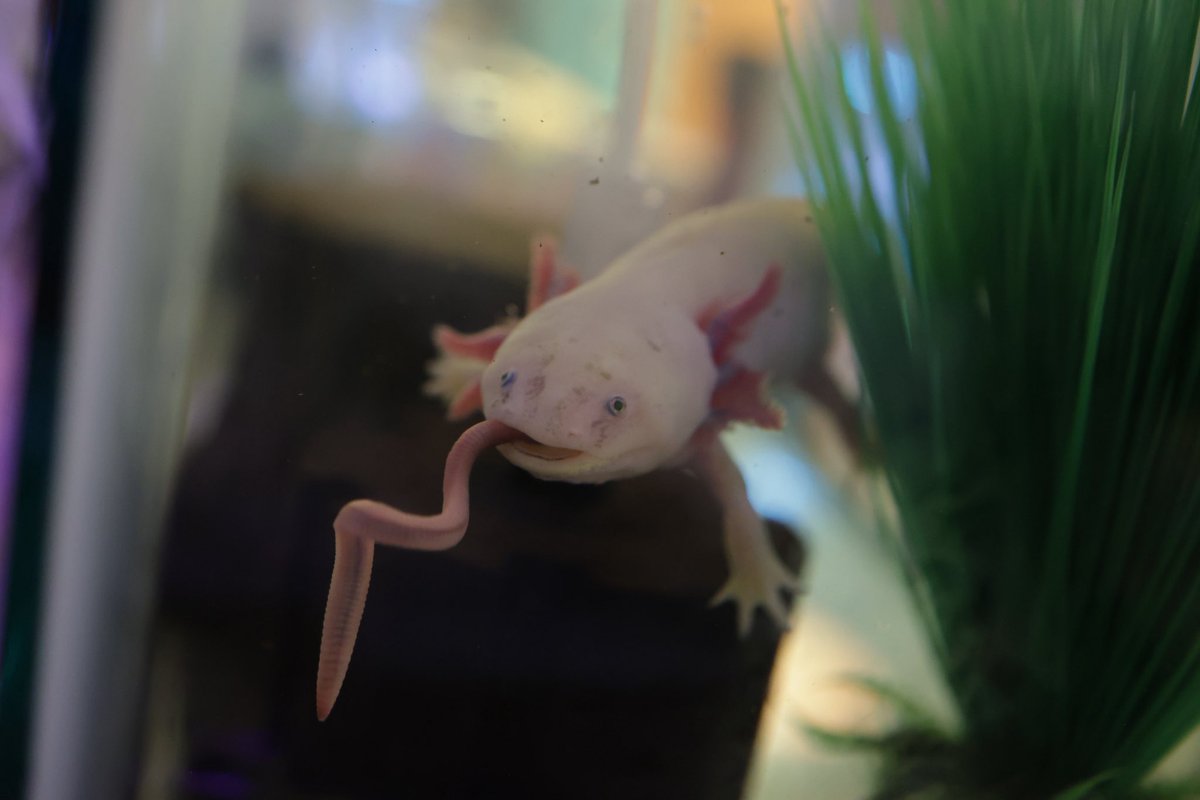 Jennifer Hancock tweet media