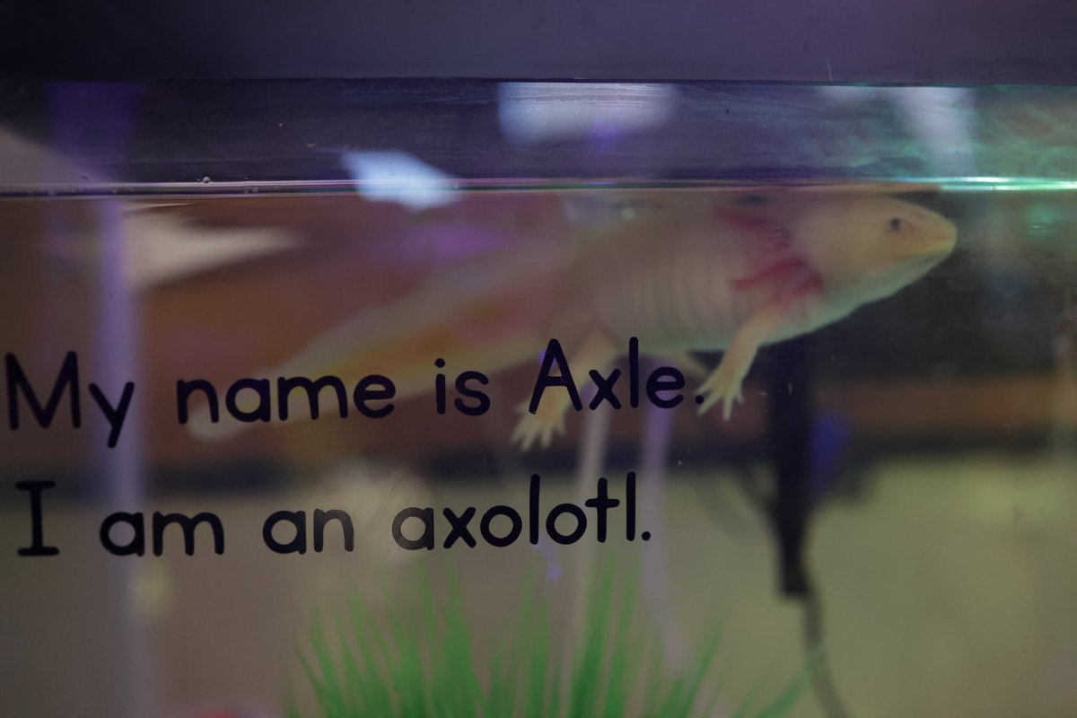 Jennifer Hancock tweet media